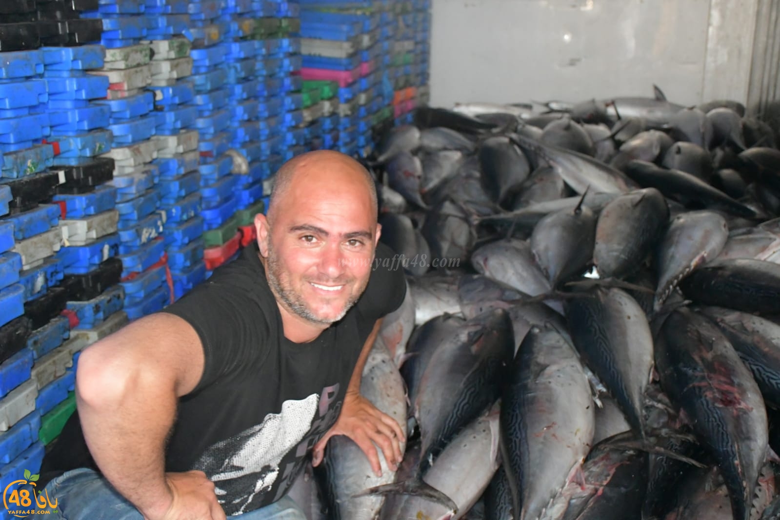 بمناسبة العيد - تخفيضات على الأسماك لدى الريس ابراهيم سوري في ميناء يافا 